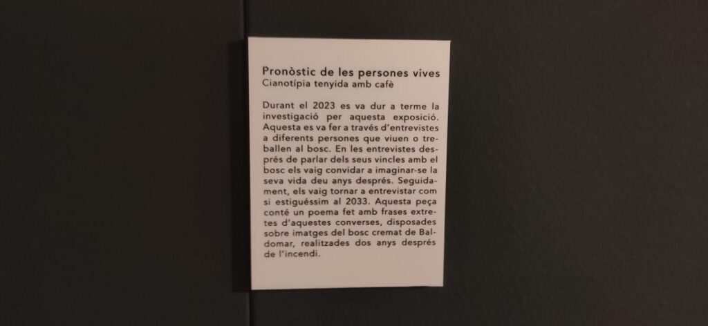 exposició IEI ‘Pronòstic, un estudi del bosc’