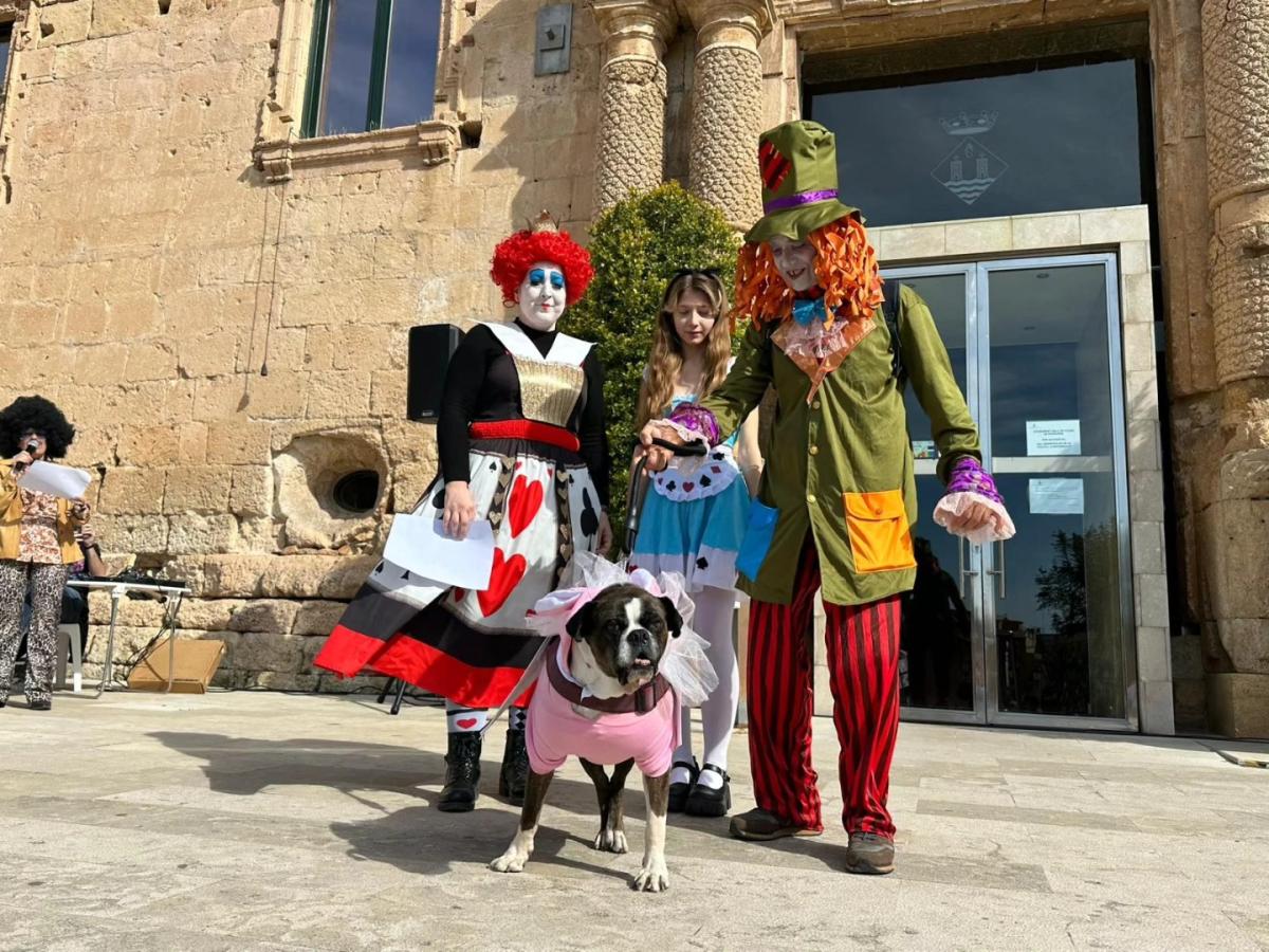 Concurso mascotas carnaval torredembarra