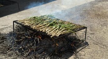 Valls dedicarà un llibre a la història i els secrets de les calçotades
