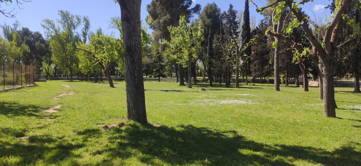 Parque Balsas de Alpicat