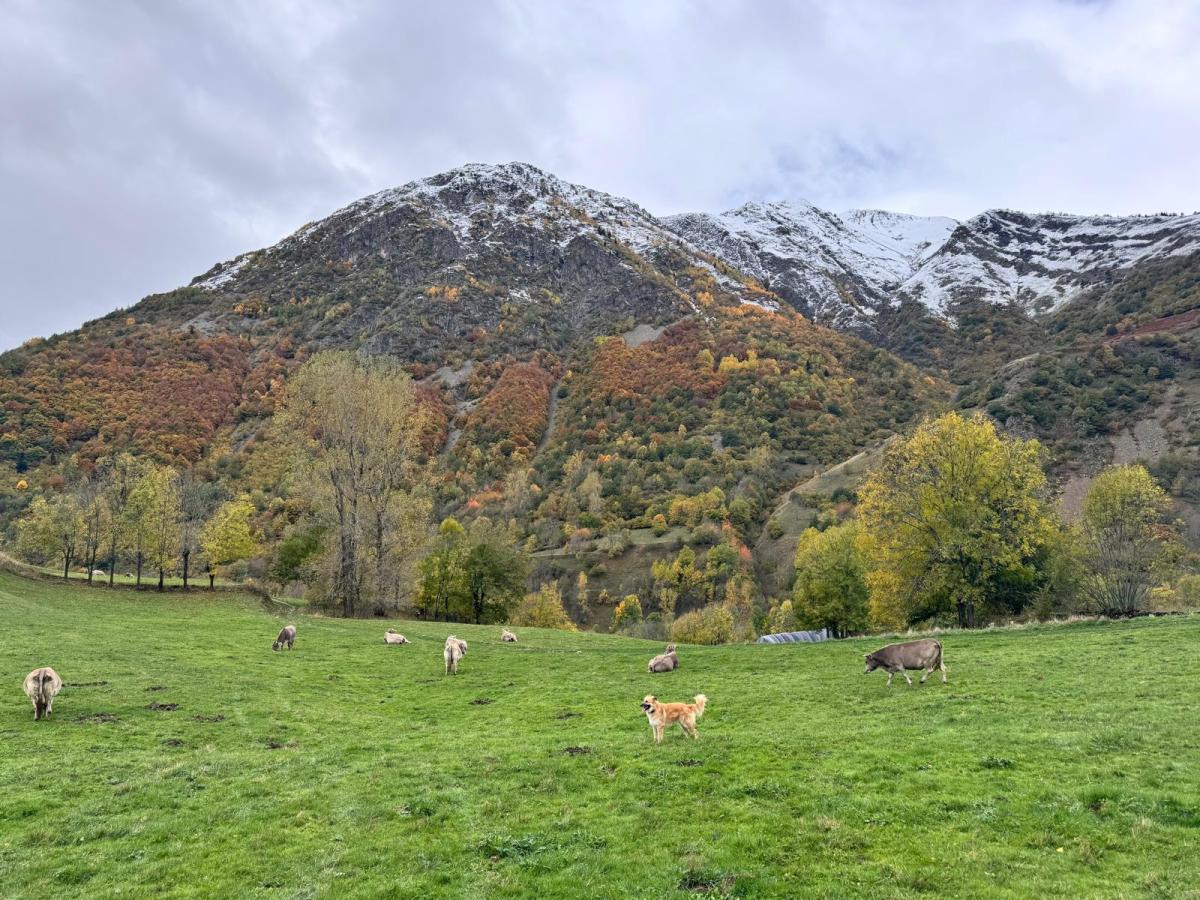 Premio Val d'Aran 1