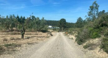 Més de 80 cotxes participen en una rave il·legal al Segrià