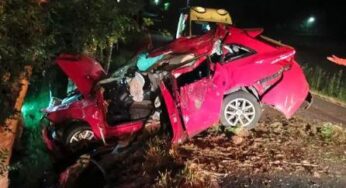 Mor un conductor després de sortir-se de la via i xocar frontalment amb un arbre