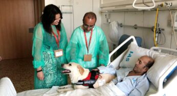 Hospigos: els pacients terminals o de pronòstic incert podran rebre la visita del seu gos a l’hospital