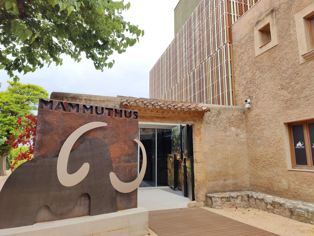 espacio-mammuthus