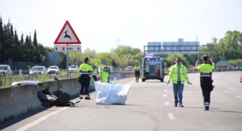 La carretera de Tarragona amb el risc “més alt” de patir un accident
