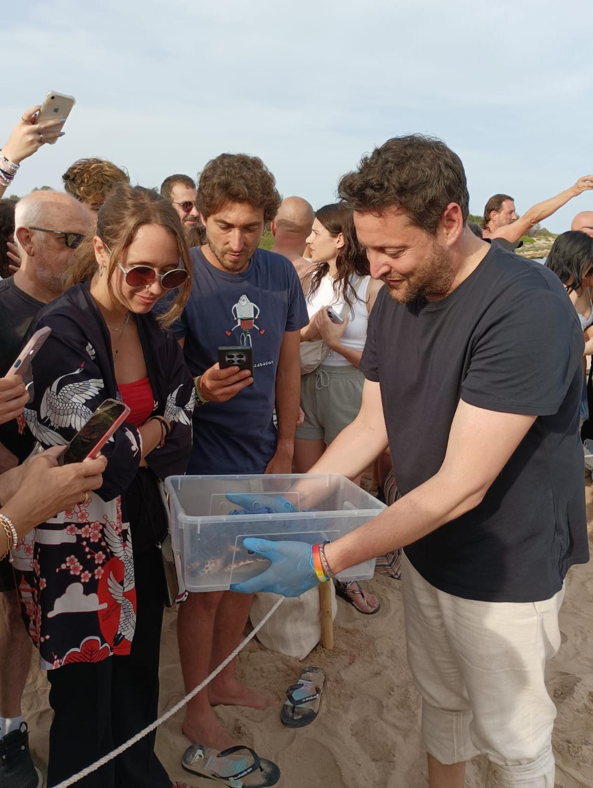 Allberament de tortugues a la platja de la savinosa de Tarragona 1