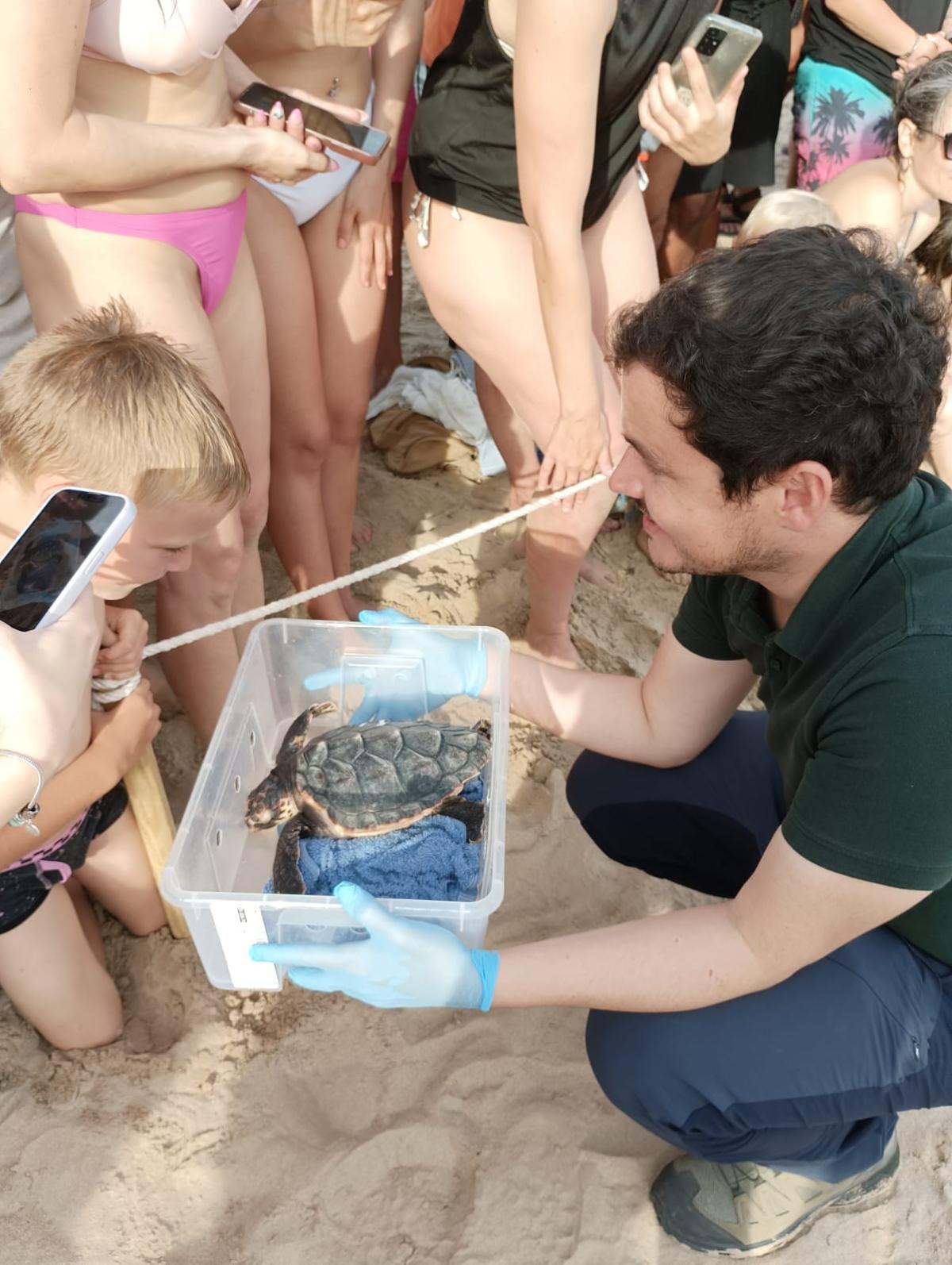 Allberament de tortugues a la platja de la savinosa de Tarragona 1