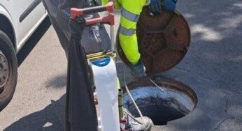 Reus continua la lluita contra rates i paneroles amb tractaments específics al clavegueram