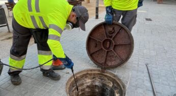 L’Hospitalet posa en marxa la campanya contra les plagues de paneroles